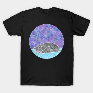 Starlight Dreams Tabby Cat T-Shirt